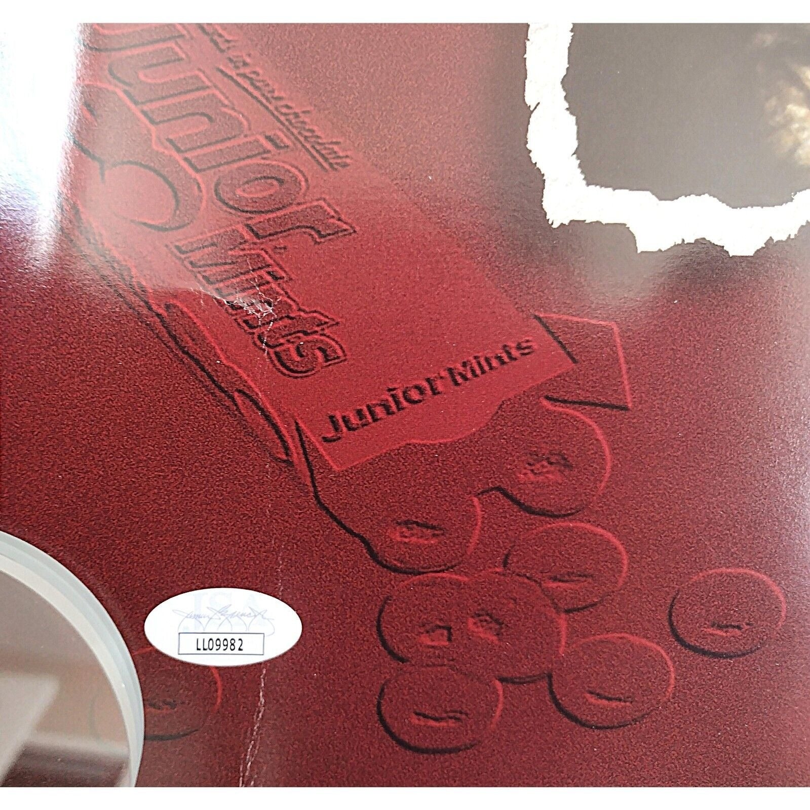 Jason Alexander photo autograph – angled display – JSA COA