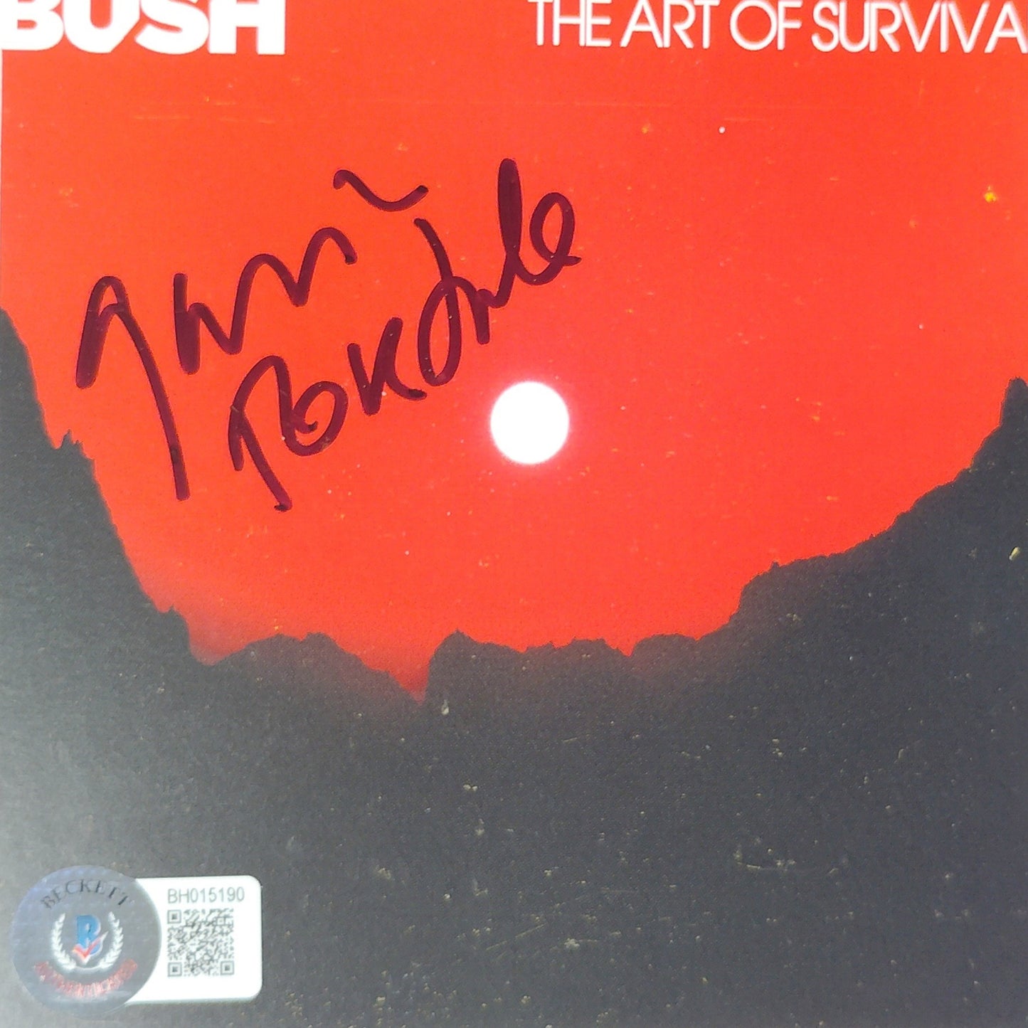 Gavin Rossdale signed photo – signature close-up – Beckett COA