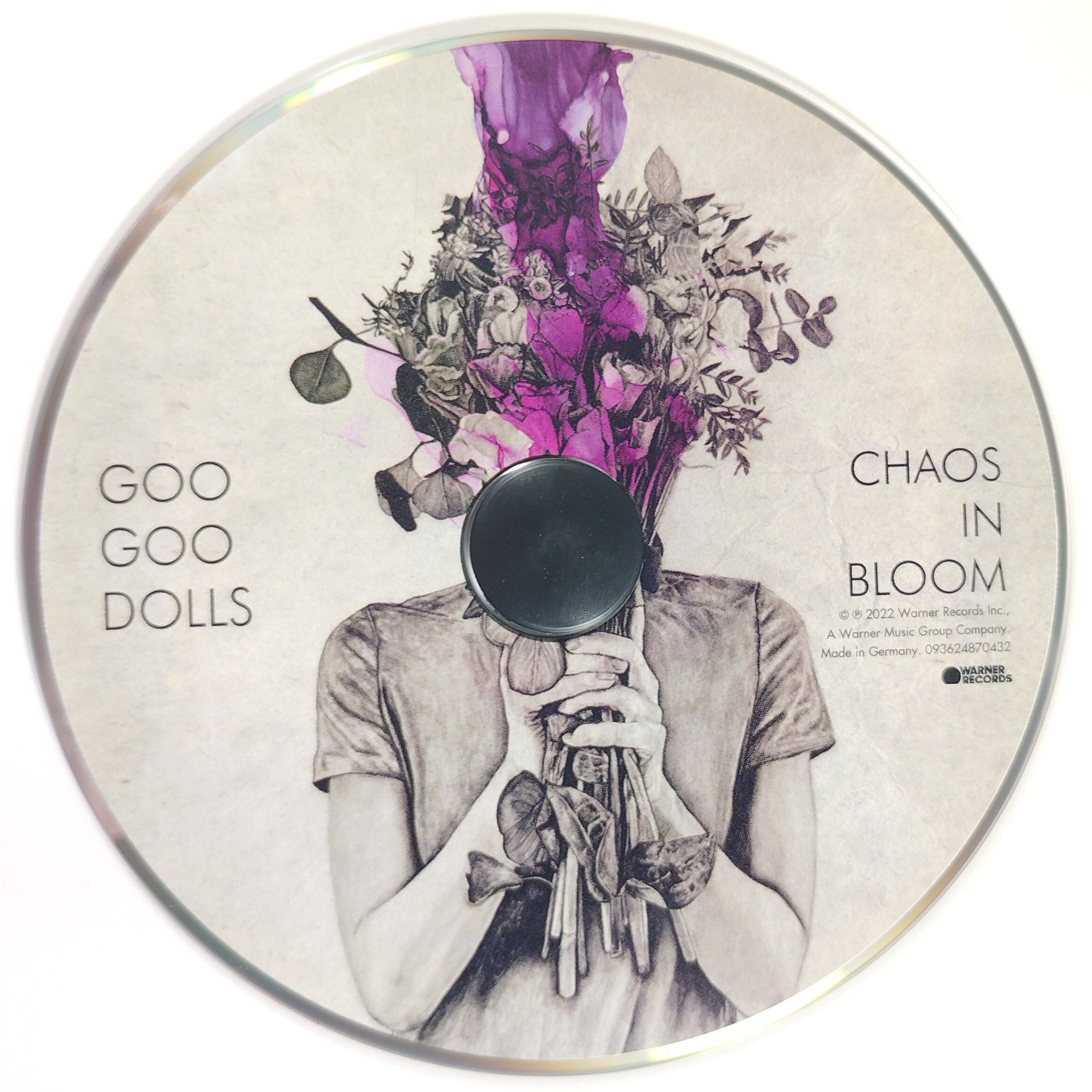 The Goo Goo Dolls microphone autograph – angled display – Beckett COA