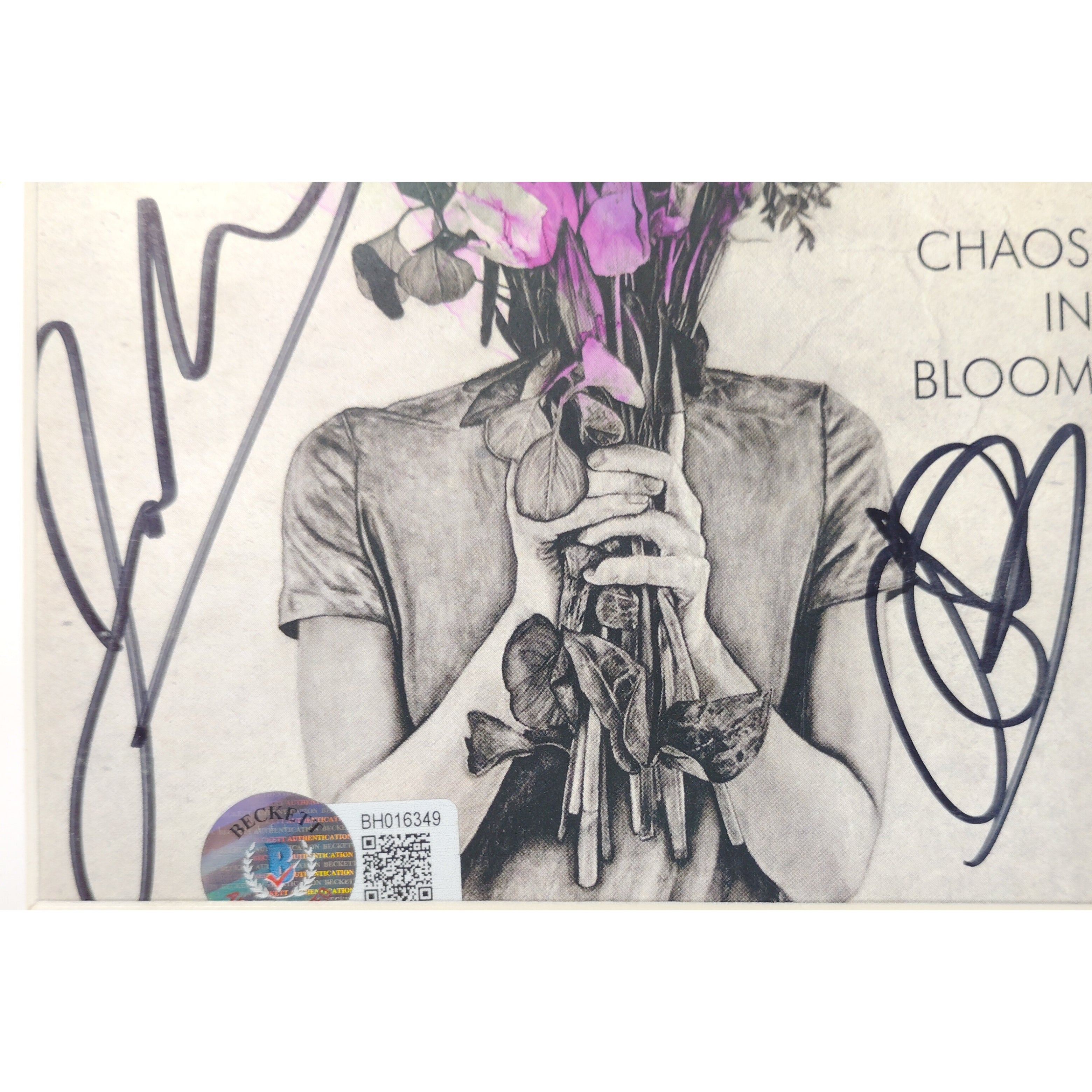 The Goo Goo Dolls auto microphone – authentication sticker – Beckett COA