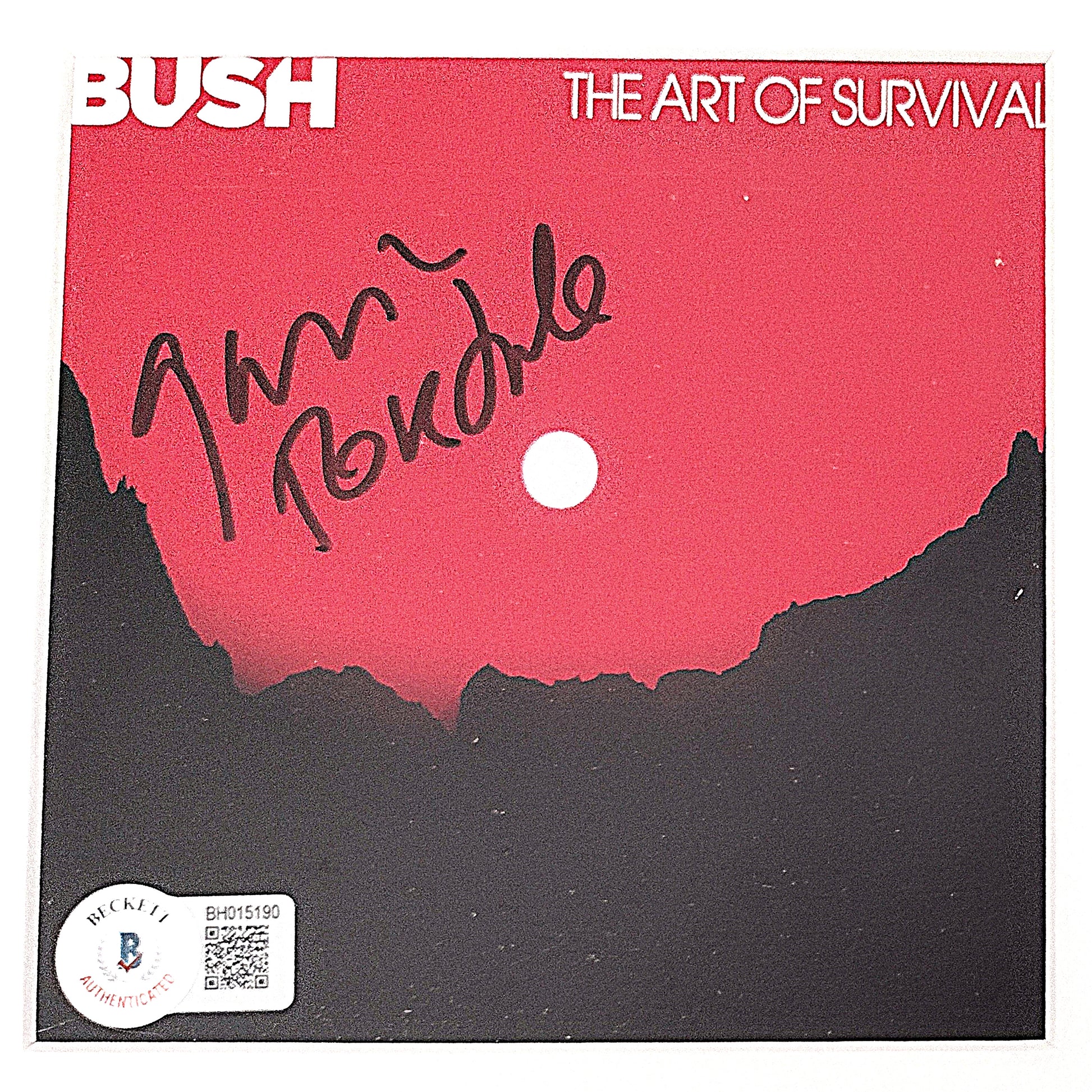 Music- Autographed- Gavin Rossdale Signed Bush The Art of Survival CD Cover Framed Matted Wall Display Beckett Authentication BH015190 Memorabilia