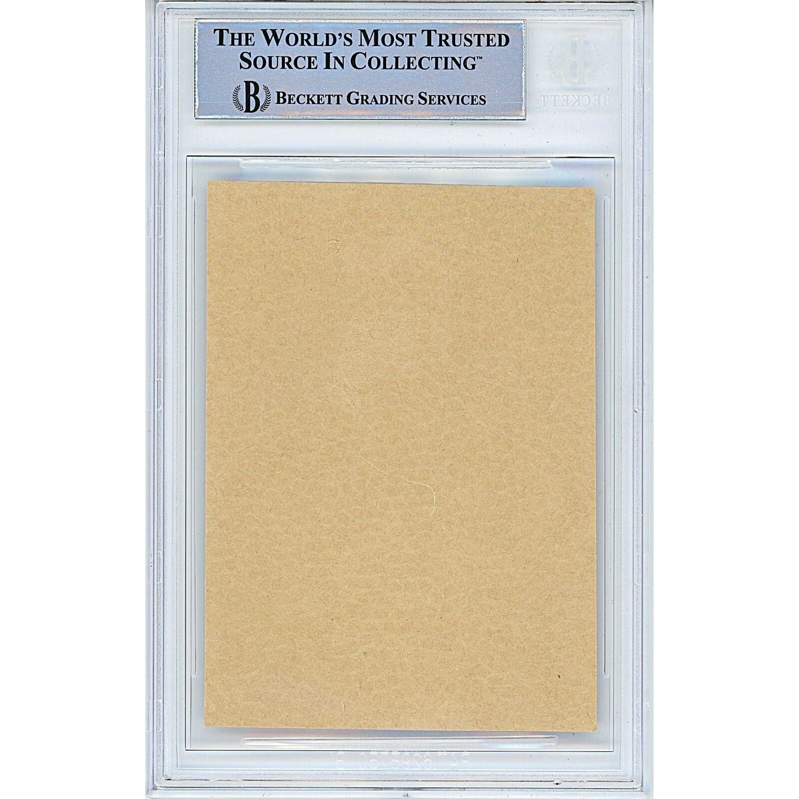 Dario Saric Golden State Warriors Signed Cut Signature Beckett BAS