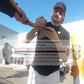 Hockey Stick Blades- Autographed- Noah Gregor Signing San Jose Sharks Logo Hockey Stick Blade Proof Photo - Beckett BAS 1